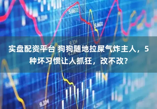 实盘配资平台 狗狗随地拉屎气炸主人，5种坏习惯让人抓狂，改不改？
