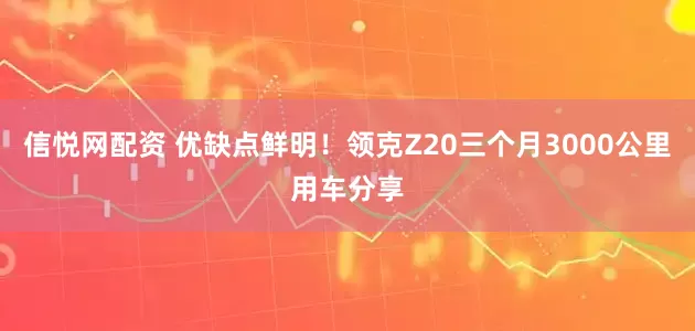 信悦网配资 优缺点鲜明！领克Z20三个月3000公里用车分享